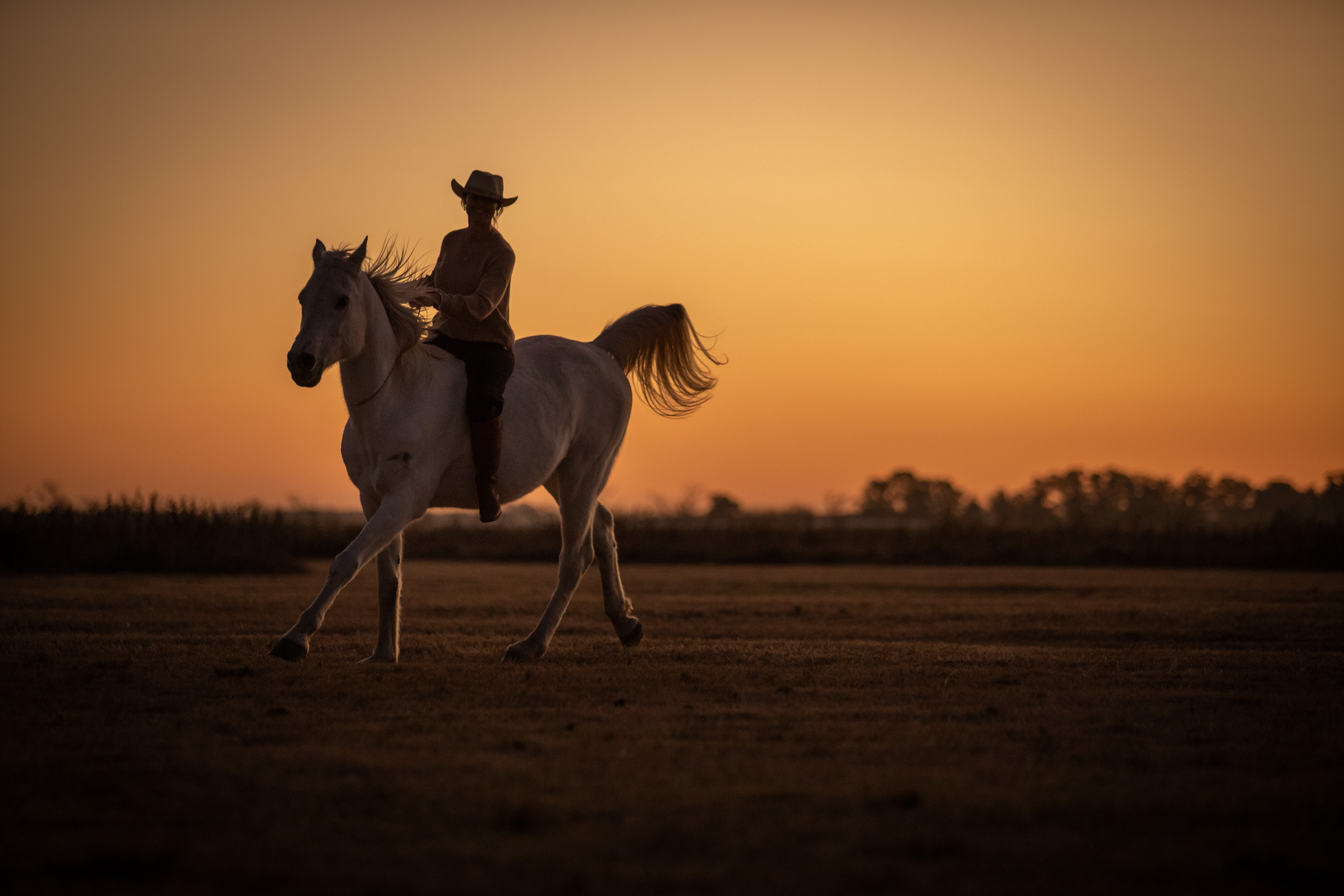Caballo y jinete al atardecer