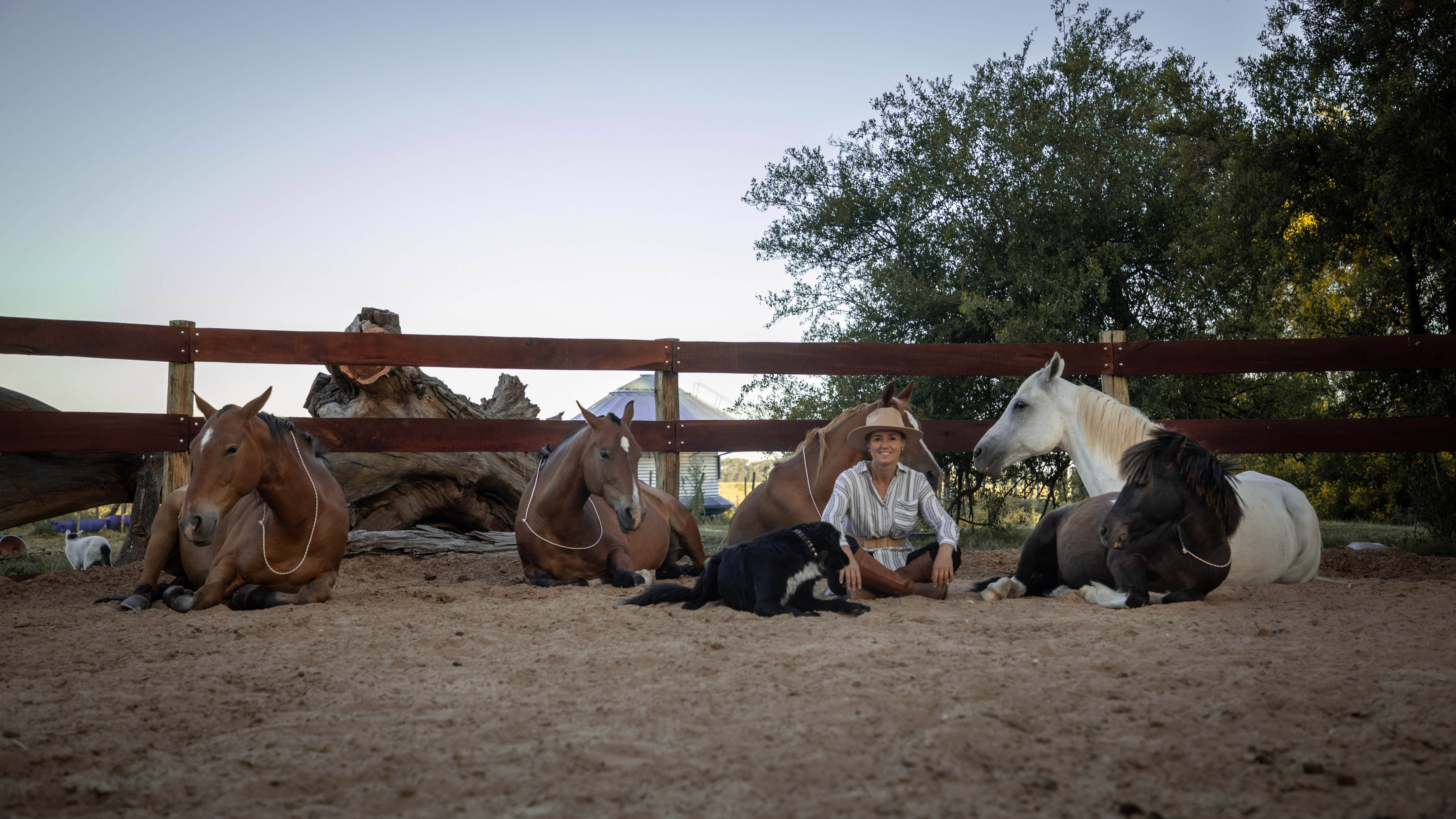 Ailin sentada junto a una manada de caballos en descanso